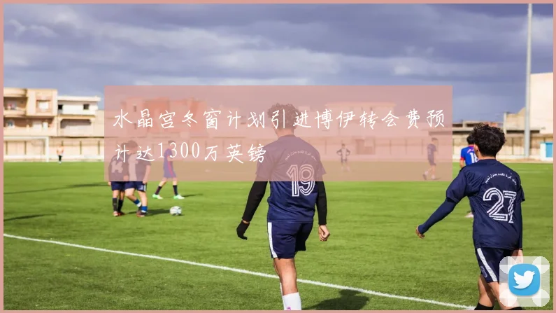 水晶宫冬窗计划引进博伊转会费预计达1300万英镑
