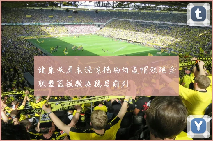 健康浓眉表现惊艳场均盖帽领跑全联盟篮板数据稳居前列