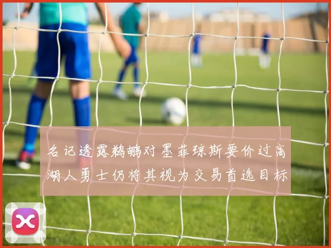 名记透露鹈鹕对墨菲琼斯要价过高湖人勇士仍将其视为交易首选目标