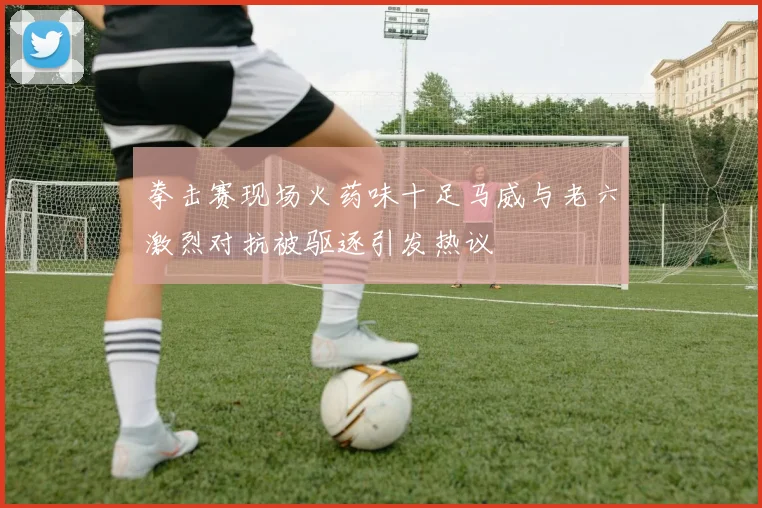 拳击赛现场火药味十足马威与老六激烈对抗被驱逐引发热议